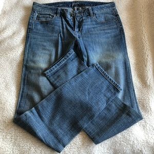 Size 4 Modern Straight LOFT jeans